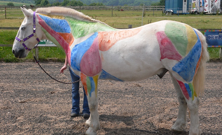 Painted Horse used for Equine Massage Demonstrations