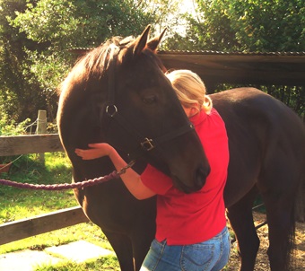 Boo enjoying an Equine Sports Massage Therapy session