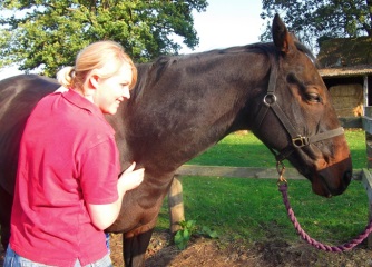 Equine Sports Massage Therapy session with Boo